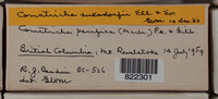 Image Associated With the Occurence